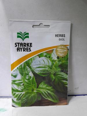 Basil Herb Seeds - thumbnail 2