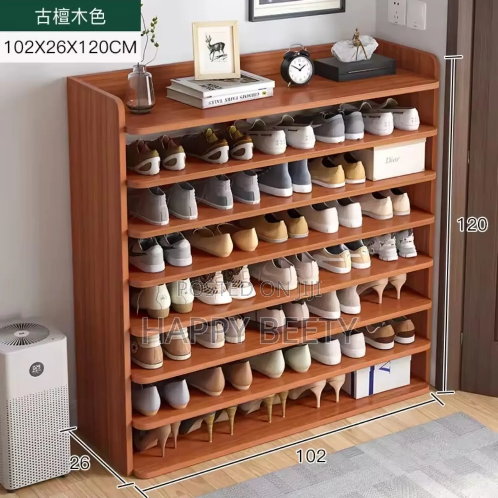 Modern Mult-Layer Shoe Rack