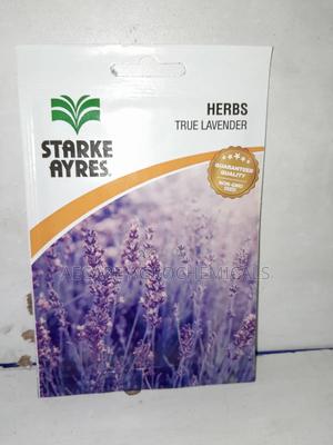 True Lavender Herb Seeds 1 Gram - main view