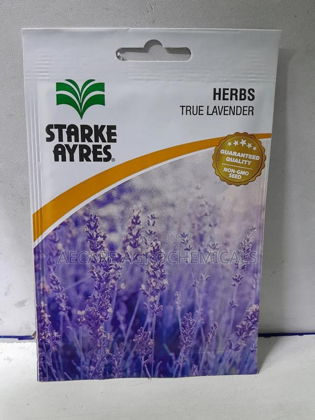 True Lavender Herb Seeds 1 Gram - thumbnail 5