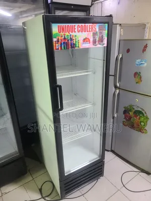 3 Trays Large Display Refrigerator Clear Fridge