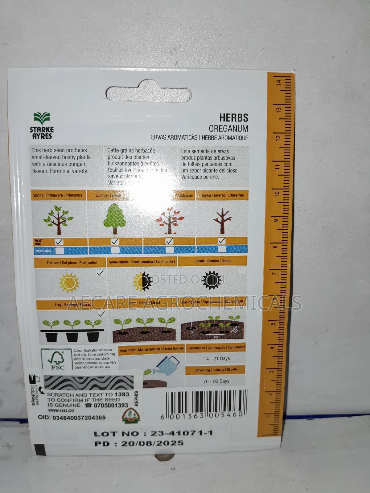 Oreganum Herb Seeds 0.25g (Stayke Ayres)