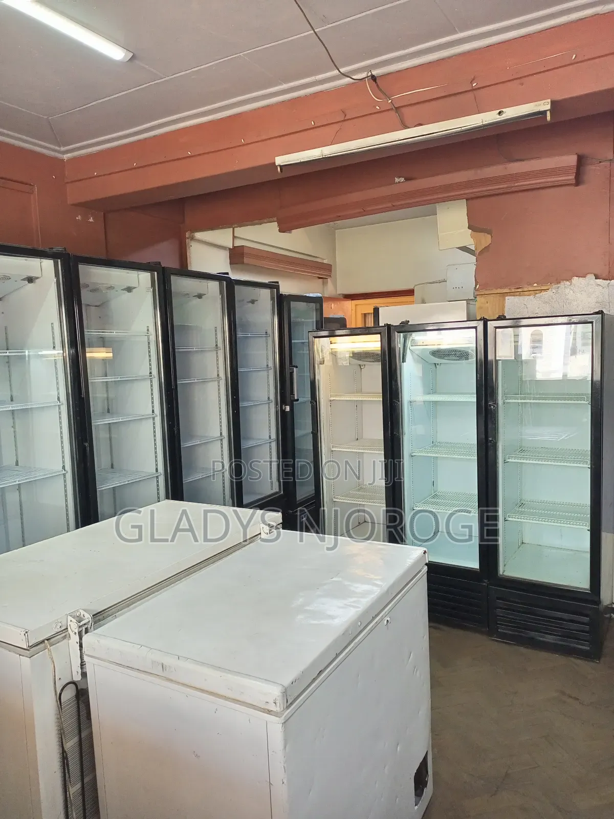 Perfect Available Chiller Deep Freezer