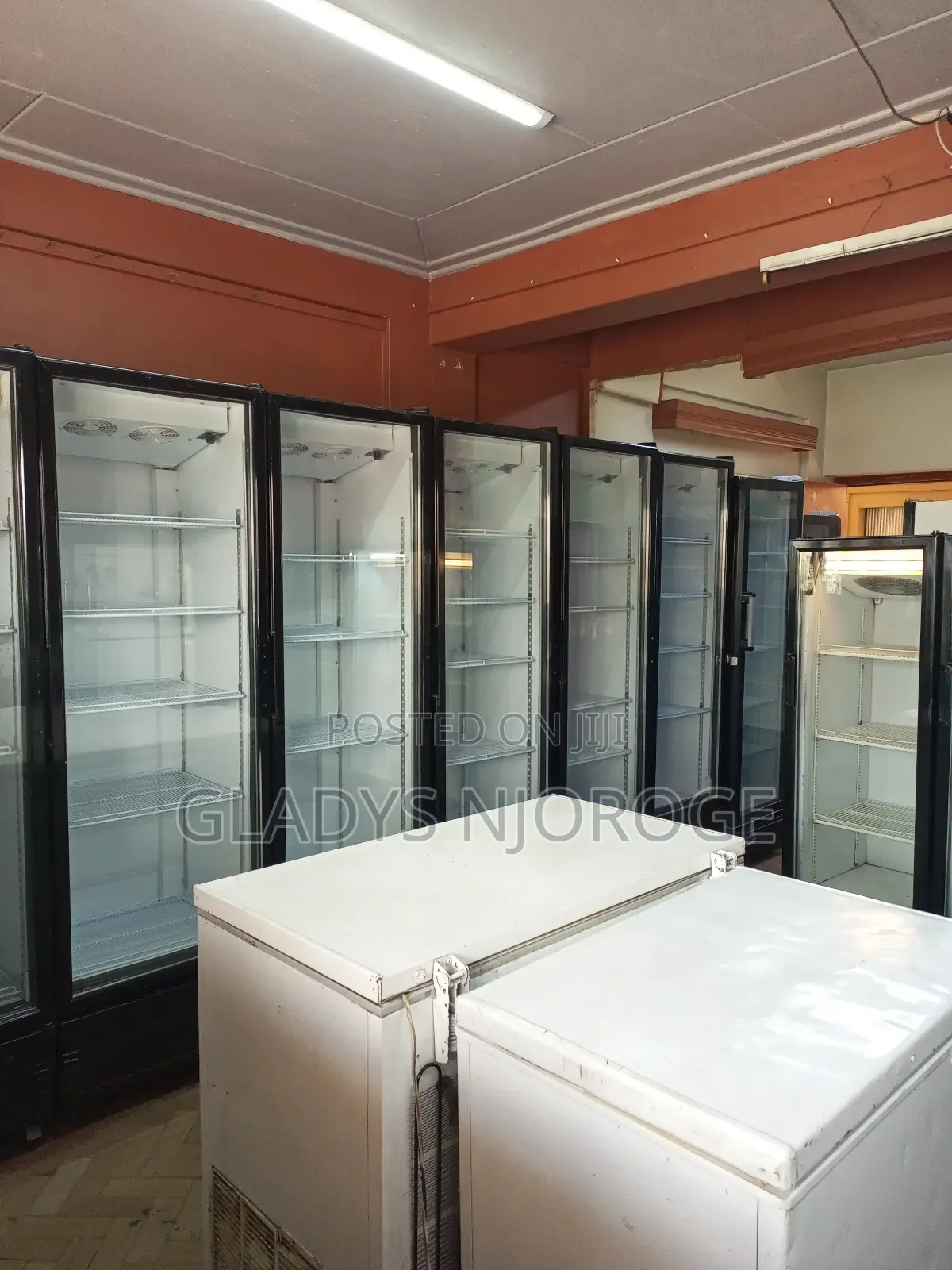 Perfect Available Chiller Deep Freezer