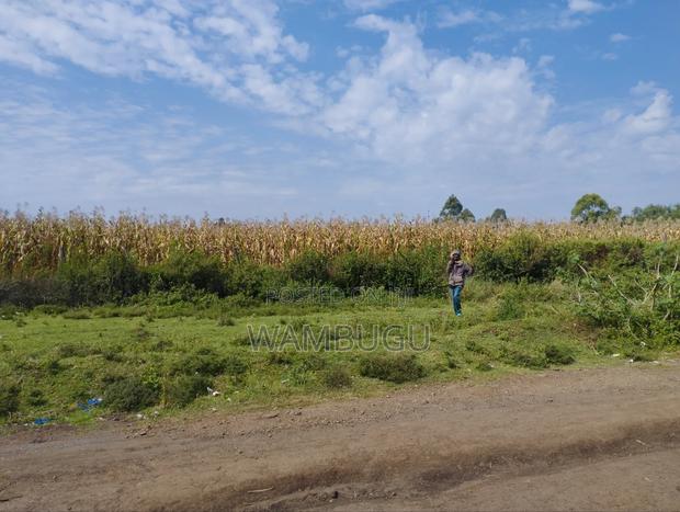 3 Acres at Ngata. 12 KMS From Nakuru Cbd. 1st Plot From Highway A104 - thumbnail 3