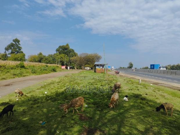 3 Acres at Ngata. 12 KMS From Nakuru Cbd. 1st Plot From Highway A104 - thumbnail 5