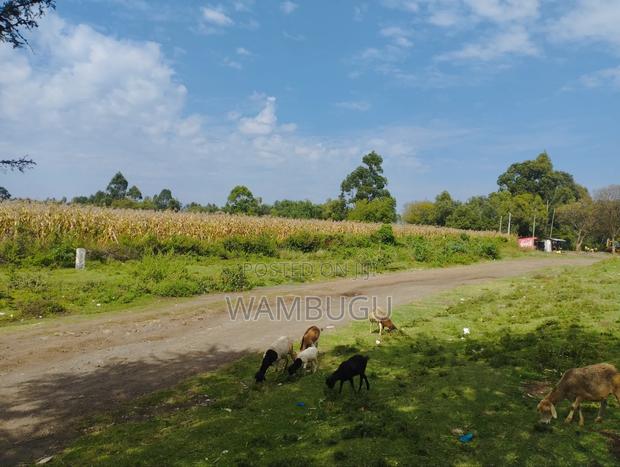 3 Acres at Ngata. 12 KMS From Nakuru Cbd. 1st Plot From Highway A104 - thumbnail 6