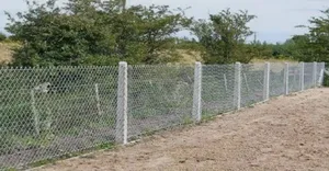 Galvanized Chain Link Fence