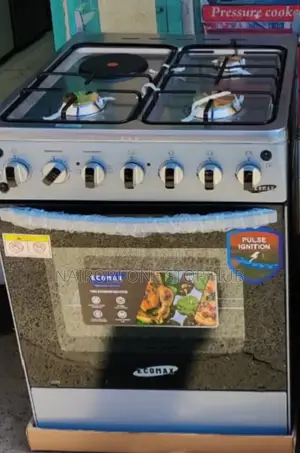 50*55 3+1 Ecomax Standing Cooker
