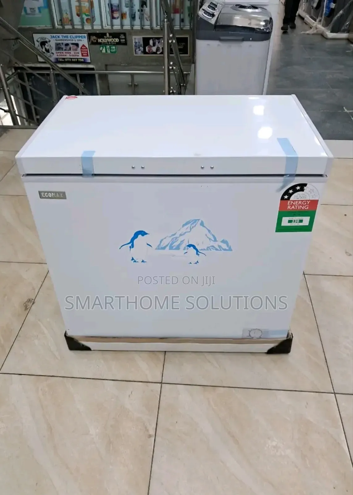 169litres Deep Freezer Ecomax