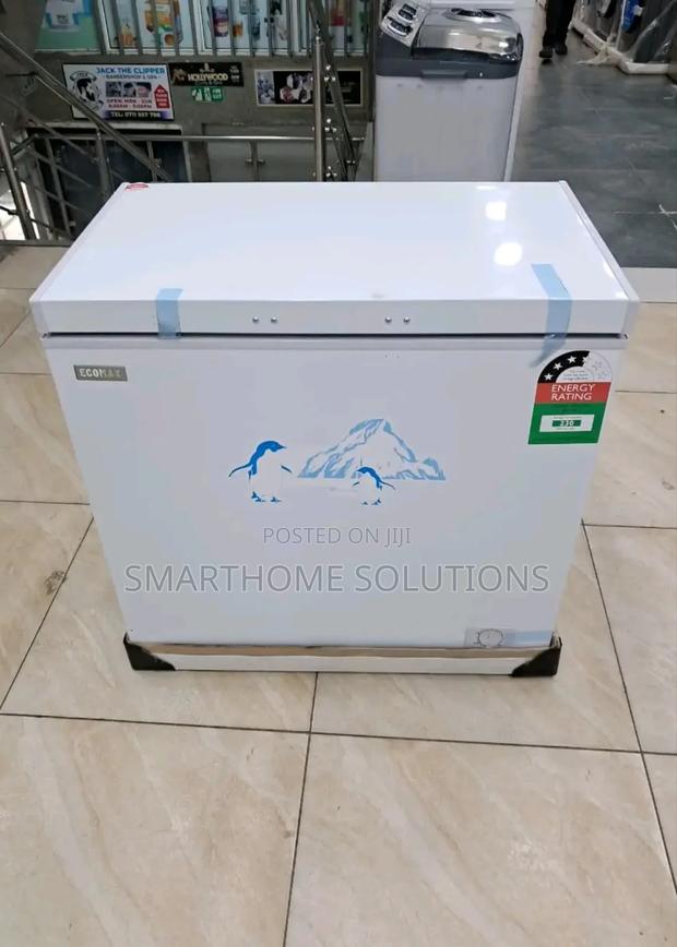 169litres Deep Freezer Ecomax