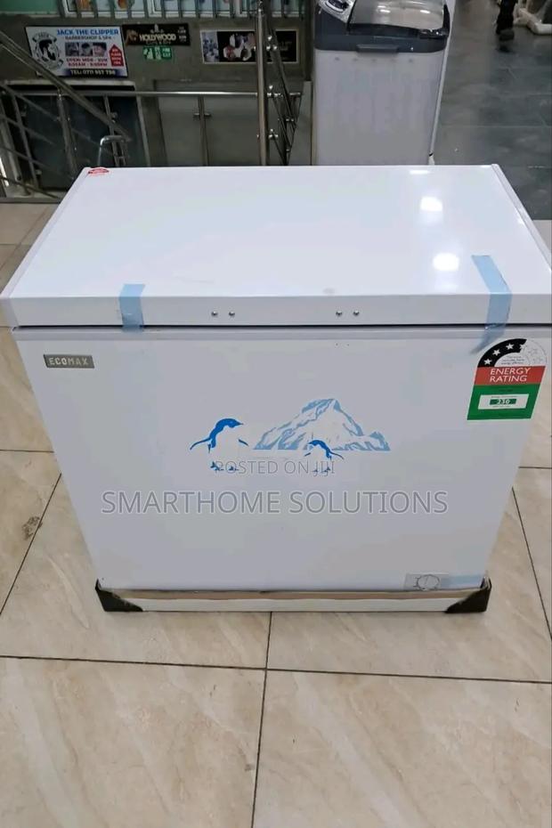 Ecomax 169l Deep Freezer – Durable Reliable Cold Storage - main view