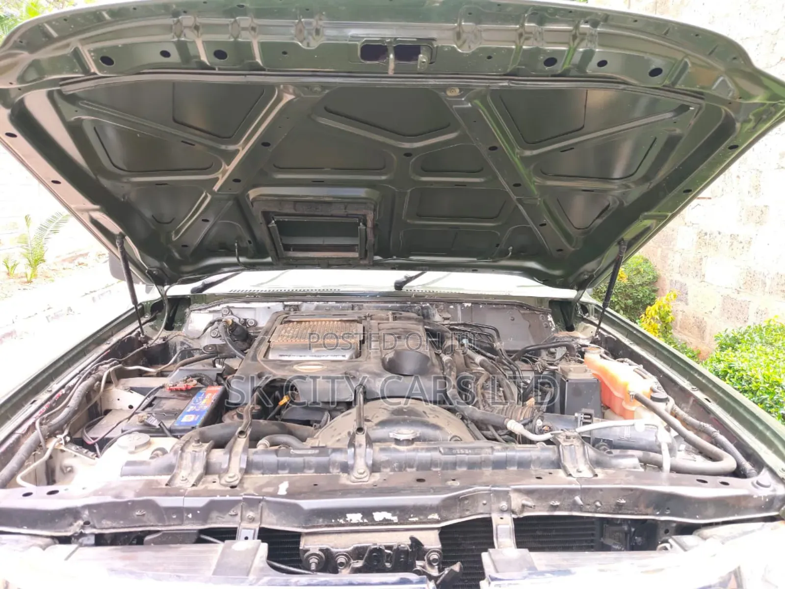 Nissan Hardbody 2016 Green