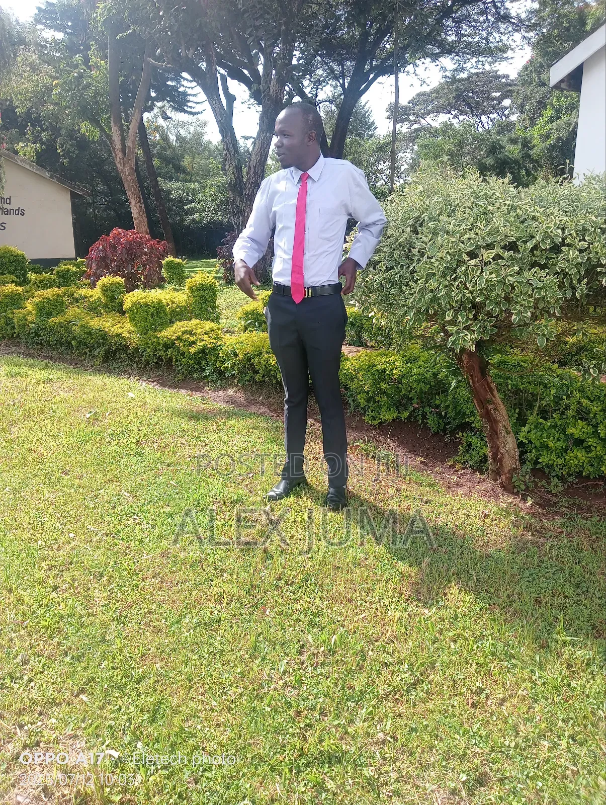 Sales Agent