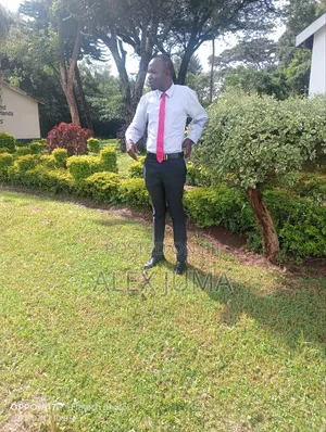 Sales Agent