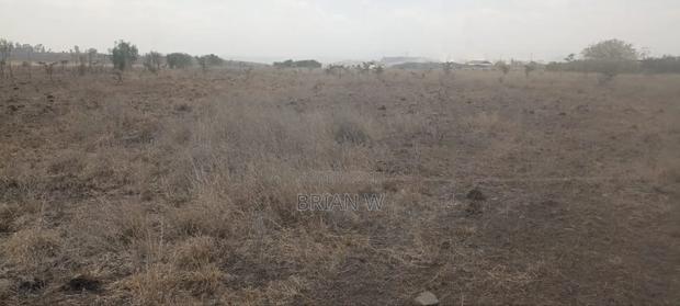 2.5 Acres Available in Katani Area - thumbnail 4