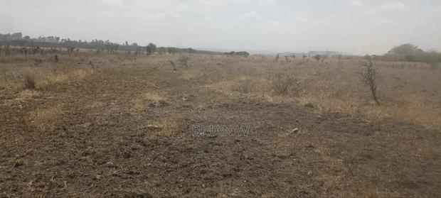 2.5 Acres Available in Katani Area - thumbnail 8