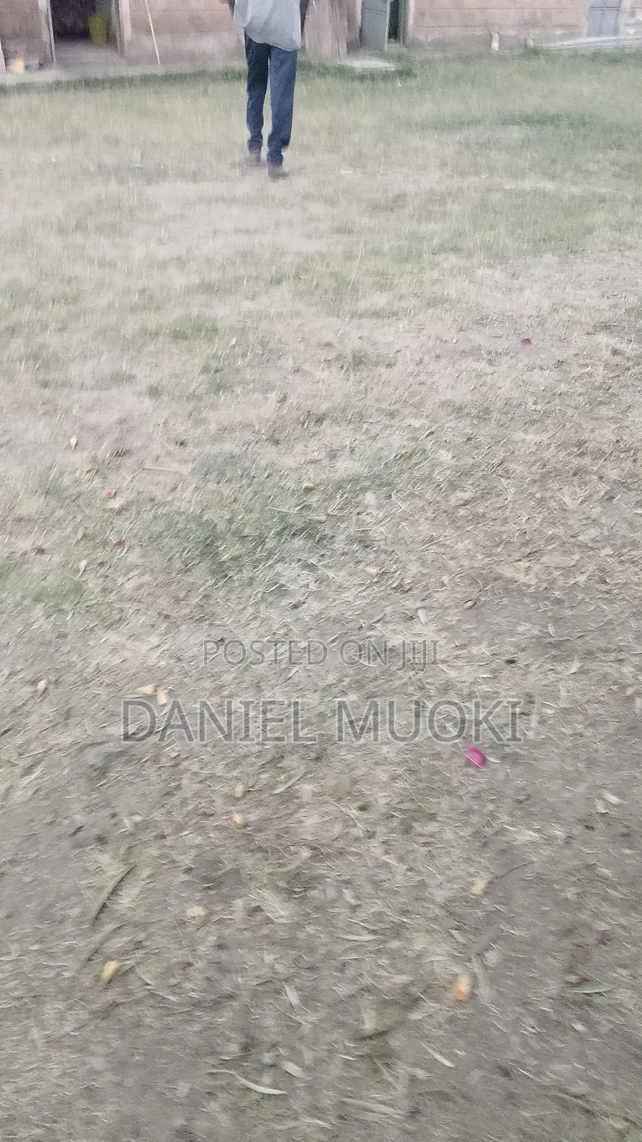 1/4 Acre T With Title Deed Corner Plot