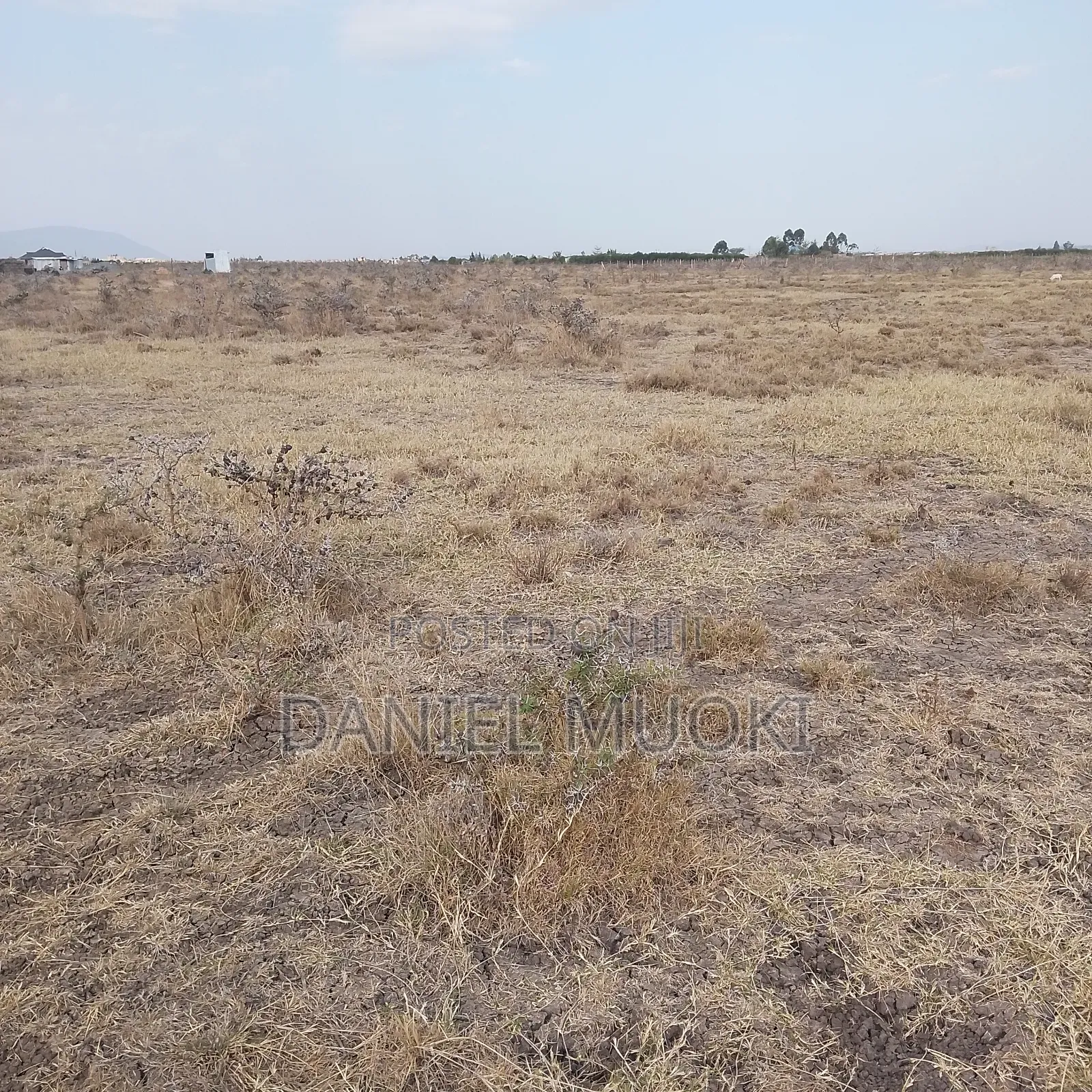 1/4 Acre T With Title Deed Corner Plot