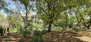 Watamu, Prime 1 Acre Land for Sale