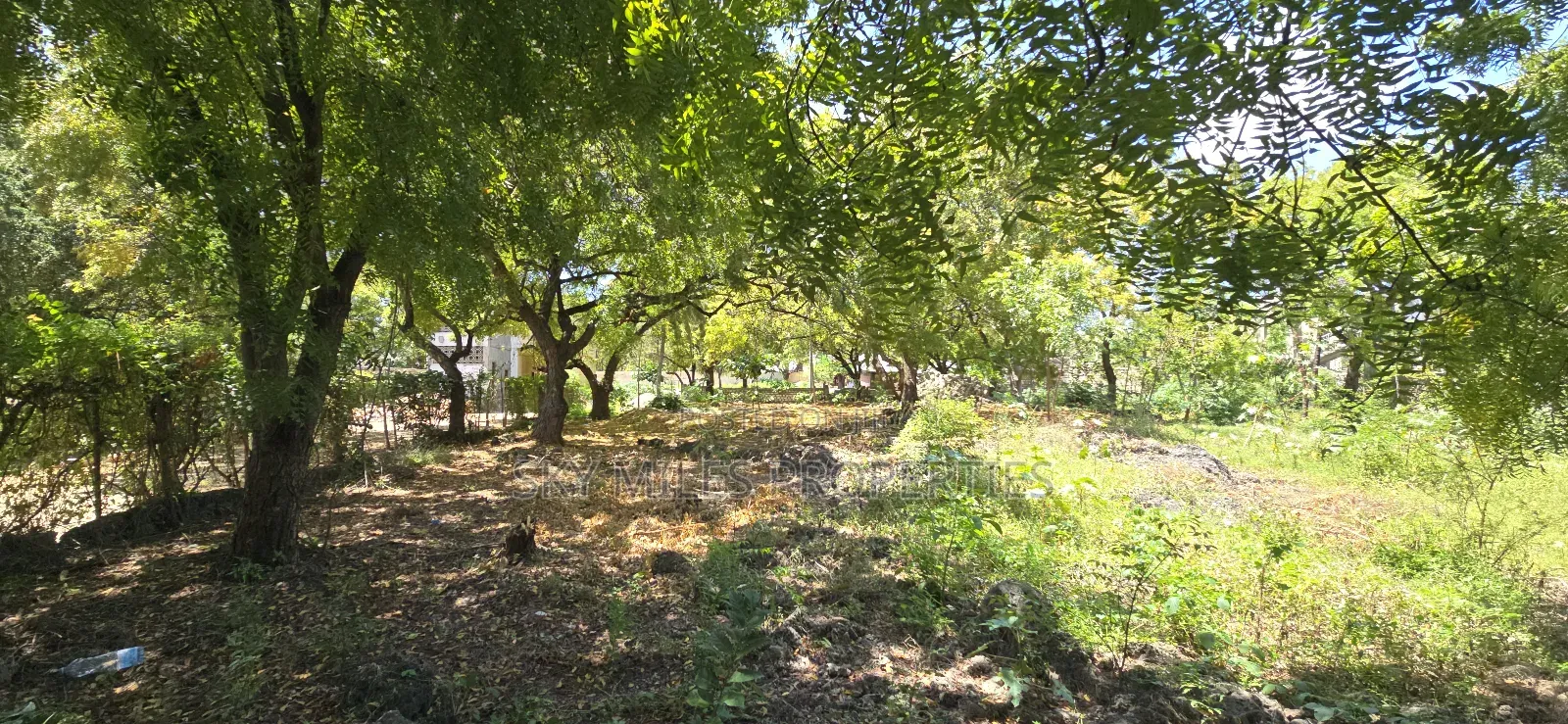 Watamu, Prime 1 Acre Land for Sale