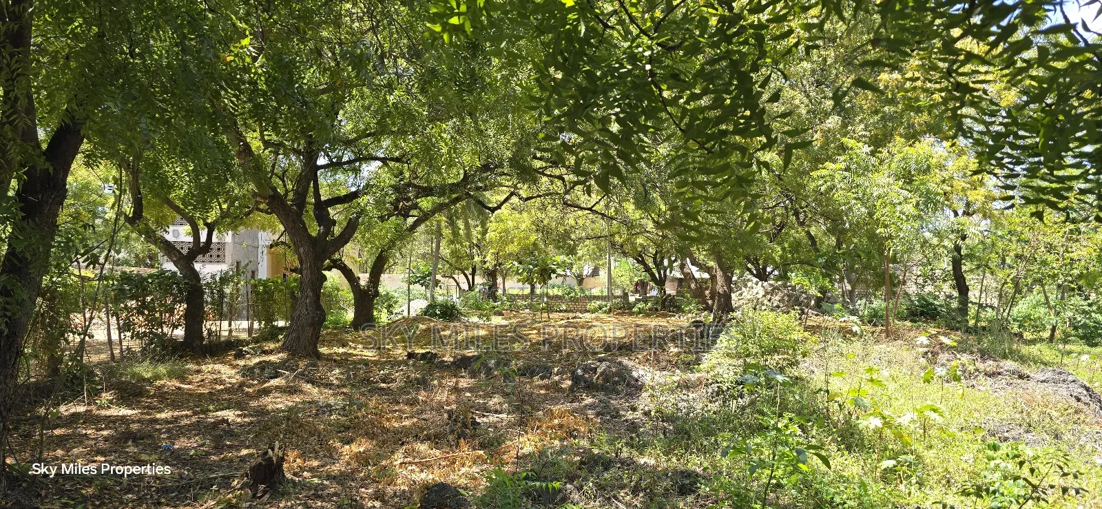 Watamu, Prime 1 Acre Land for Sale