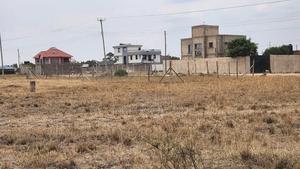 Silcon Valley Kamakis. - thumbnail 2