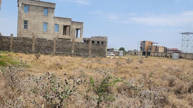 Silcon Valley Kamakis. - thumbnail 3