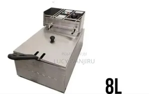 8l Electric Fryer