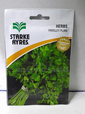 Parsley Herb Plain Seeds 4 Grams - thumbnail 2