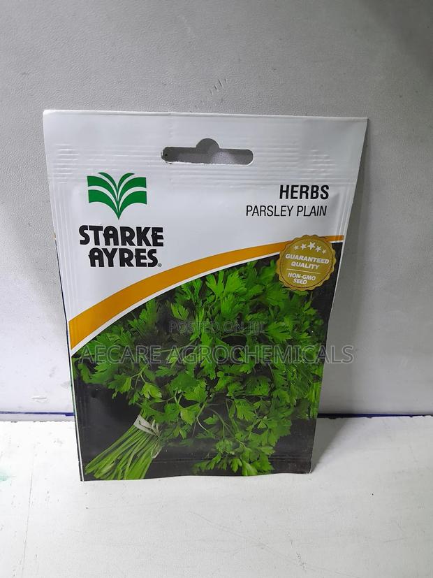Parsley Herb Plain Seeds 4 Grams - thumbnail 3