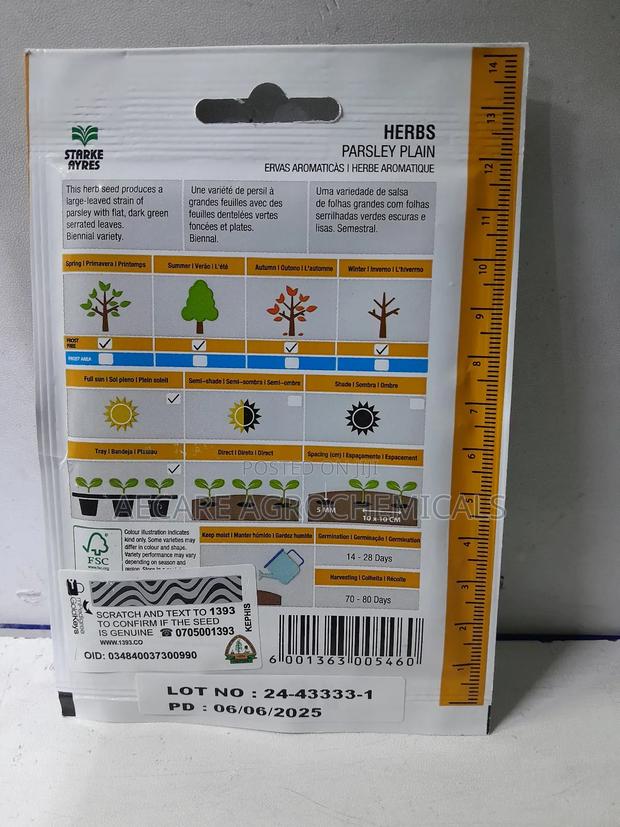 Parsley Herb Plain Seeds 4 Grams - thumbnail 4