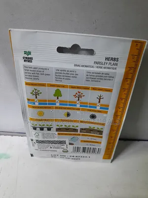 Parsley Herb Plain Seeds 4 Grams