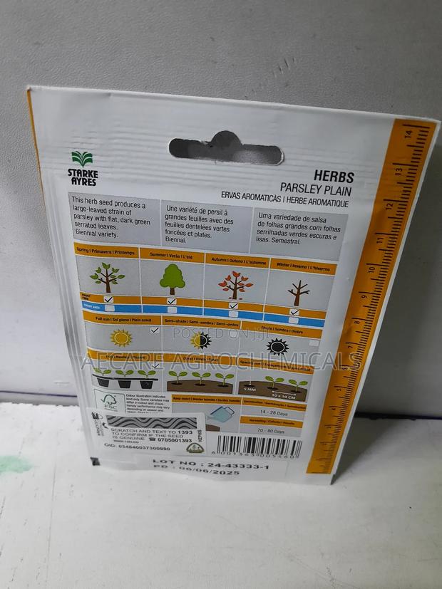 Parsley Herb Plain Seeds 4 Grams - thumbnail 5