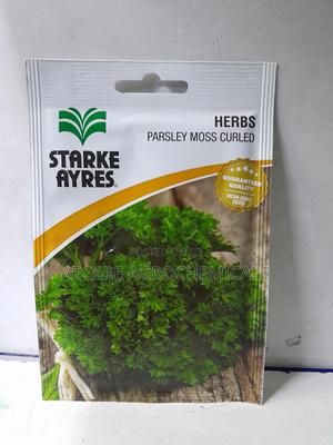 Parsley Moss Curled Herb Seed 5 Grams - thumbnail 2