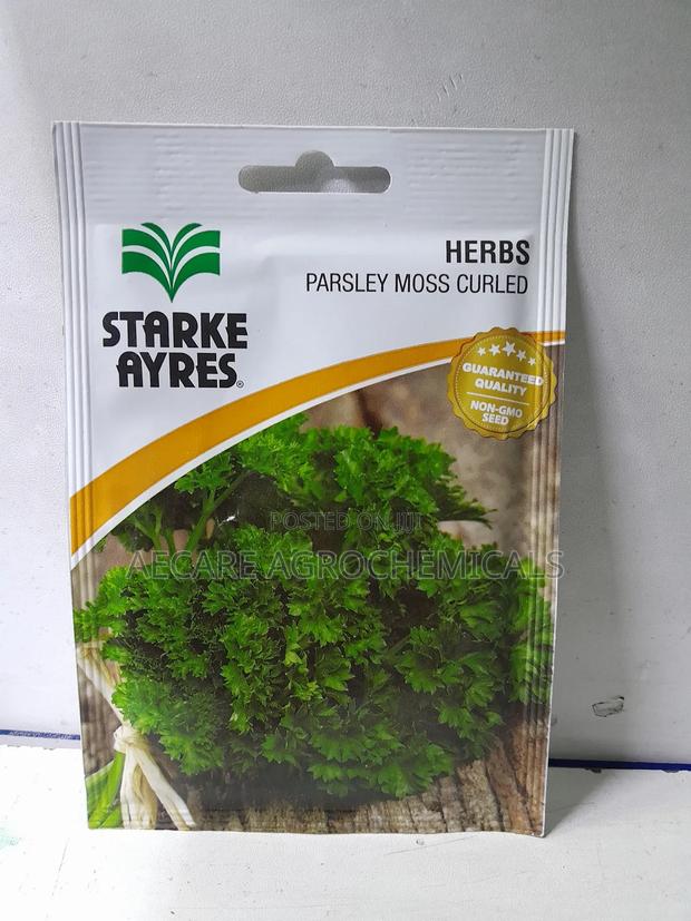 Parsley Moss Curled Herb Seed 5 Grams - main view
