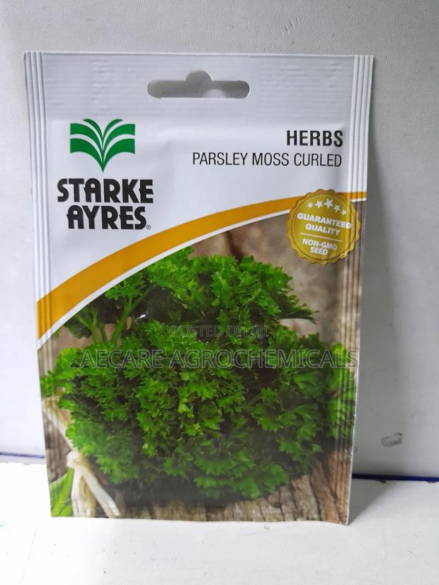 Parsley Moss Curled Herb Seed 5 Grams - thumbnail 3