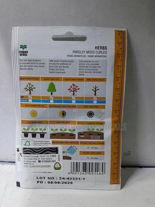 Parsley Moss Curled Herb Seed 5 Grams - thumbnail 4