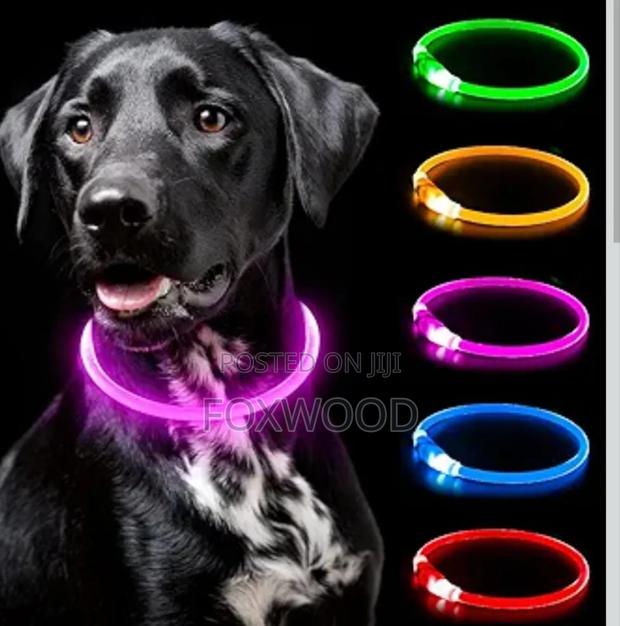 Rechargeable Light Up Pets Collars - thumbnail 3