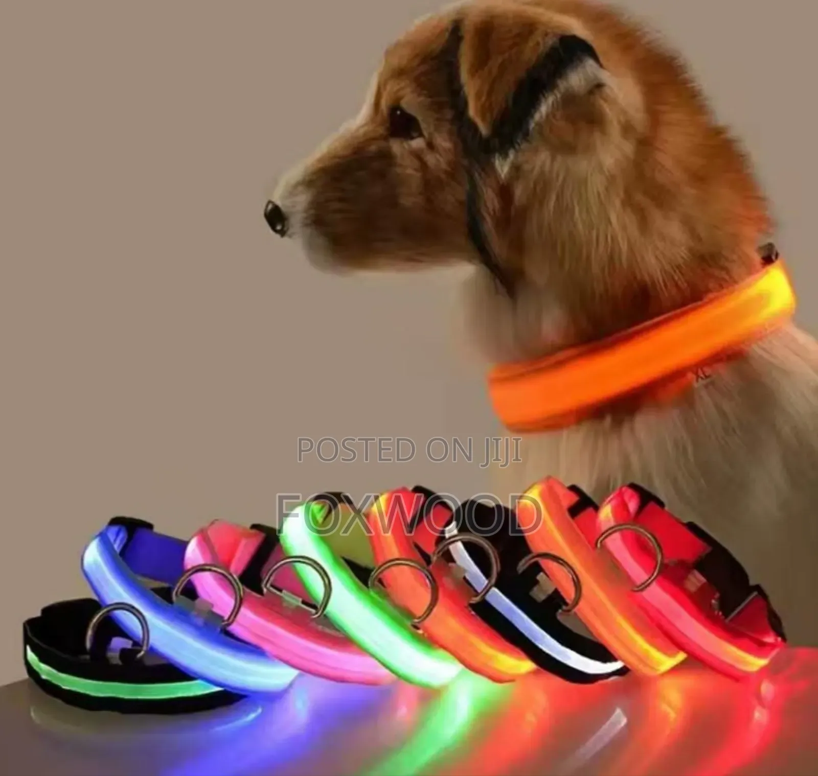 Rechargeable Light Up Pets Collars