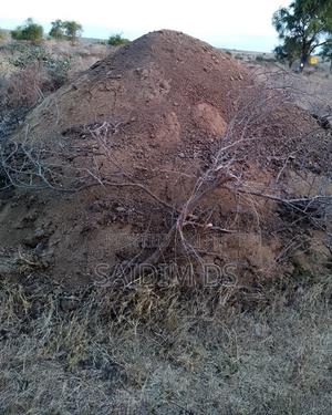 Farm Animal Manure