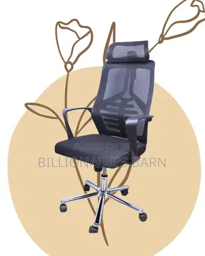 Orthopedic High Back Mesh Office Chair — Back Support for Long Hours