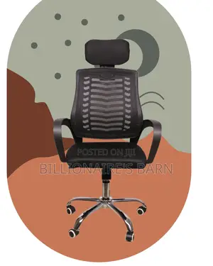 Secretarial Mesh Chair (Adjustable) — Offer Valid This Week