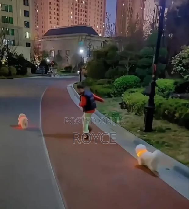 Rechargeable Light Up Pet Collars - thumbnail 3