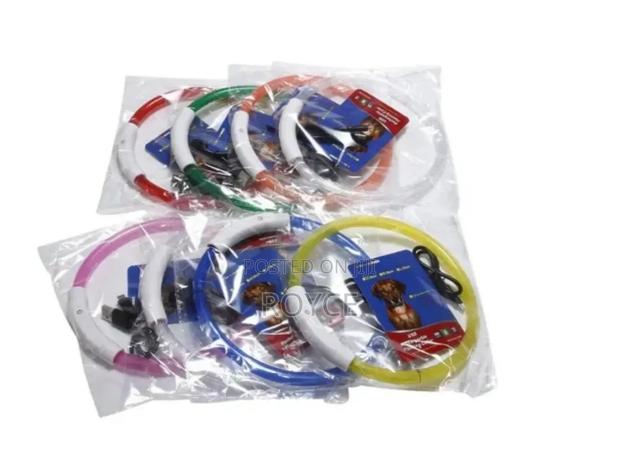 Rechargeable Light Up Pet Collars - thumbnail 9