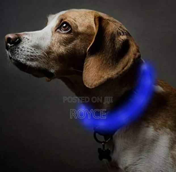 Rechargeable Light Up Pet Collars - thumbnail 10