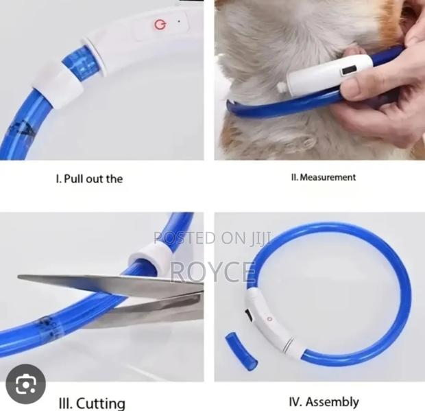 Rechargeable Light Up Pet Collars - thumbnail 11