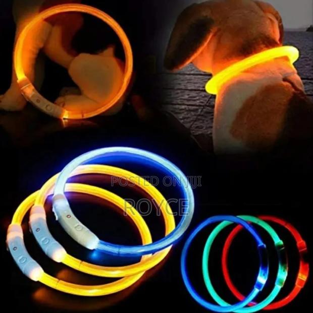 Rechargeable Light Up Pet Collars - main view