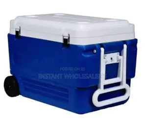 100 Litres Commercial Cooler Box