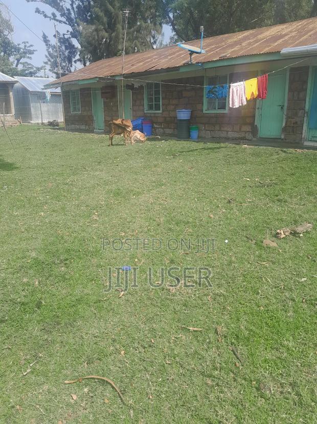 Four Units in Sofia Area in Homa Bay - thumbnail 2